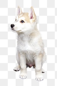 PNG cute puppy, collage element, transparent background