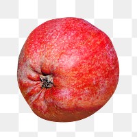 PNG  red apple close up fruit , collage element, transparent background