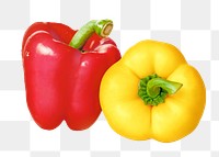 PNG closeup of bell peppers, collage element, transparent background