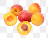 Apricots, fruit png collage element, transparent background