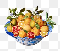 Fruit bowl png collage element, transparent background