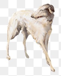 PNG Borzoi dog vintage illustration on transparent background. Remixed by rawpixel. 