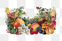 PNG vintage vegetables, chromolithograph art, transparent background. Remixed by rawpixel. 