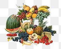 PNG vintage fruits, chromolithograph art, transparent background. Remixed by rawpixel. 