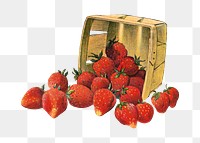 PNG vintage strawberry basket, chromolithograph art, transparent background. Remixed by rawpixel. 