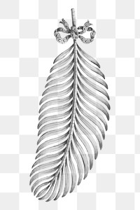 Vintage feather png drawing, transparent background. Remixed by rawpixel. 