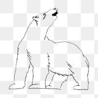 Polar bear png drawing, transparent background. Remixed by rawpixel. 