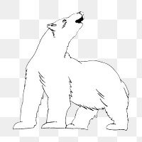 Polar bear png drawing, transparent background. Remixed by rawpixel. 