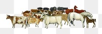 PNG livestock vintage illustration on transparent background. Remixed by rawpixel.