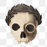 Human skull png vintage illustration, transparent background. Remixed by rawpixel. 