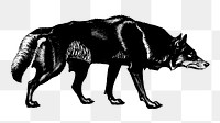 PNG wolf vintage illustration on transparent background. Remixed by rawpixel. 