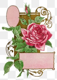 PNG vintage pink rose, chromolithograph art, transparent background. Remixed by rawpixel. 