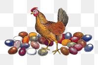 PNG hen vintage illustration on transparent background. Remixed by rawpixel. 