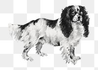 PNG Toy Spaniel dog, vintage pet animal illustration by Goodwin & Company, transparent background. Remixed by rawpixel.