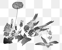 PNG Sparrow birds, Japanese traditional illustration by Teisai Hokuba, transparent background. Remixed by rawpixel.