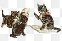 PNG Little kittens, vintage pet animal illustration, transparent background. Remixed by rawpixel.