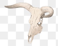 PNG Cow skull, vintage illustration by P. C. Skovgaard, transparent background. Remixed by rawpixel.