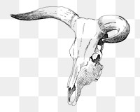 PNG Cow skull, vintage illustration by P. C. Skovgaard, transparent background. Remixed by rawpixel.