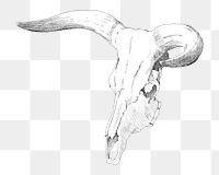 PNG Cow skull, vintage illustration by P. C. Skovgaard, transparent background. Remixed by rawpixel.