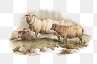 PNG Sheep, vintage farm animal illustration, transparent background. Remixed by rawpixel.