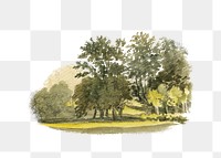 PNG Landscape with Trees, vintage nature illustration by Robert Hills, transparent background. Remixed by rawpixel.