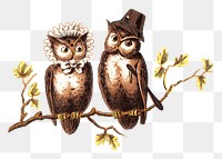 Vintage owls png bird, transparent background. Remixed by rawpixel.