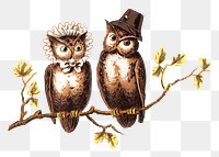 Vintage owls png bird, transparent background. Remixed by rawpixel.