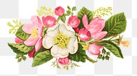 PNG vintage helleborus flower, transparent background. Remixed by rawpixel.