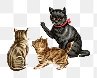 Vintage cats png pet, transparent background Remixed by rawpixel.