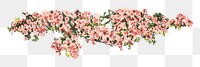 PNG vintage pink flower, transparent background. Remixed by rawpixel.
