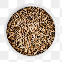 Cumin seed png food, transparent background