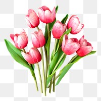 Pink tulips png collage element, transparent background