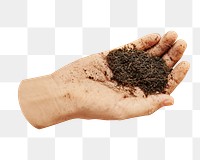 PNG Woman holding soil in her hand, collage element, transparent background