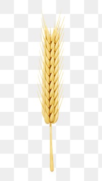 PNG 3D wheat branch, element illustration, transparent background