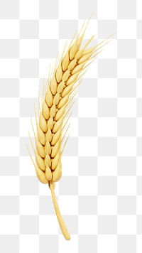 PNG 3D wheat branch, element illustration, transparent background