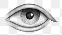 Png realistic eye drawing, transparent background