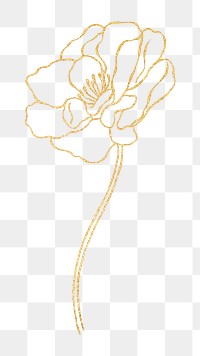 Png gold flower line art, transparent background