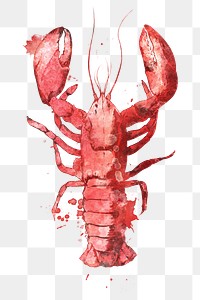 Watercolor lobster png collage element, transparent background. Remixed by rawpixel.