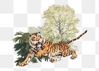 Tiger png watercolor, transparent background. Remixed by rawpixel.