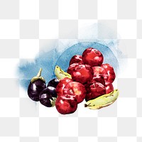 Fruits watercolor png collage element, transparent background. Remixed by rawpixel.