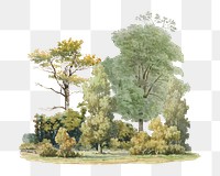 Forest png watercolor collage element, transparent background. Remixed by rawpixel.