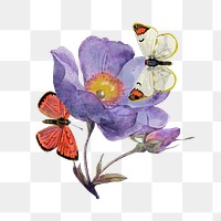 Butterflies & flower png watercolor, transparent background. Remixed by rawpixel.