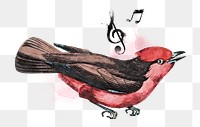 Singing bird png watercolor, transparent background. Remixed by rawpixel.