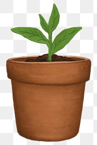 Potted houseplant png, botanical illustration, transparent background