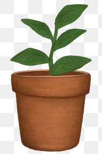 Potted houseplant png, botanical illustration, transparent background