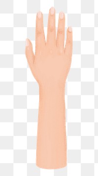 Woman's hand png, gesture illustration, transparent background