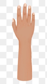 Woman's tanned png hand, gesture illustration, transparent background