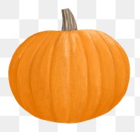 Autumn pumpkin png, aesthetic illustration, transparent background