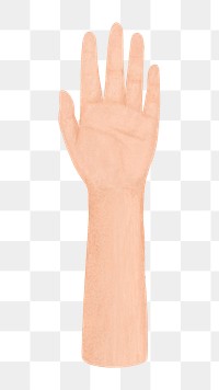 Man hand png, diversity illustration, transparent background