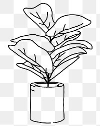 Fiddle-leaf fig png line art, transparent background